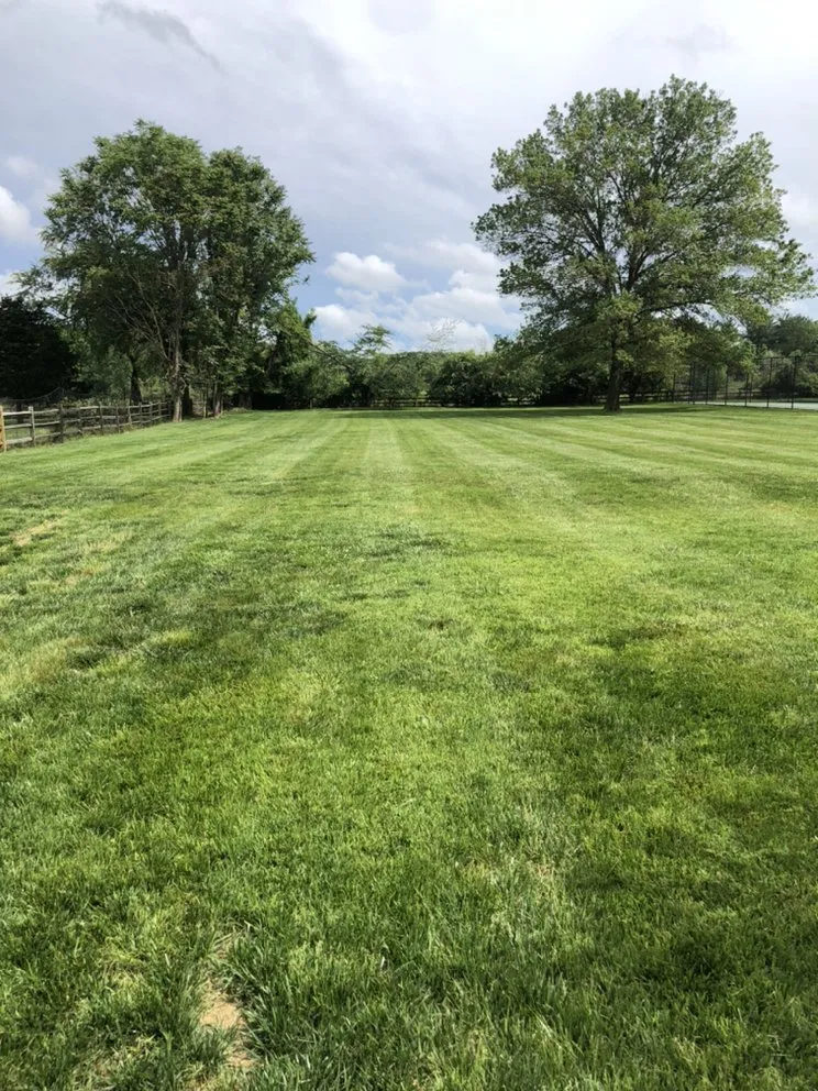 Trusted landscape installation experts serving Silver Spring, MD - Universal Lawn Care