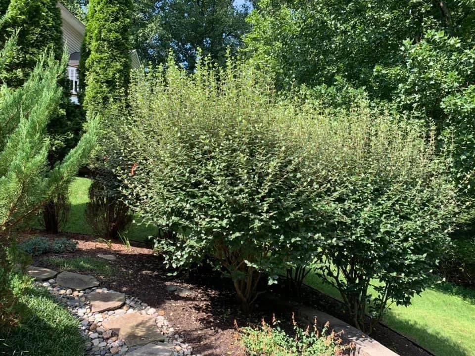 Custom landscaping services for residential properties in Silver Spring, MD by Universal Lawn Care