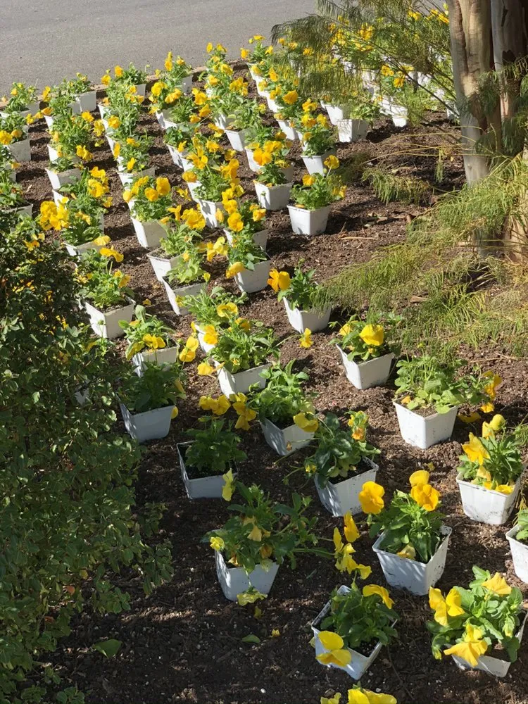 Professional yard cleanup service experts serving Silver Spring, MD - Universal Lawn Care