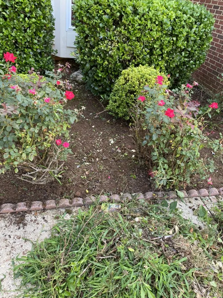 Reliable lawn mowing service experts serving Silver Spring, MD - Universal Lawn Care