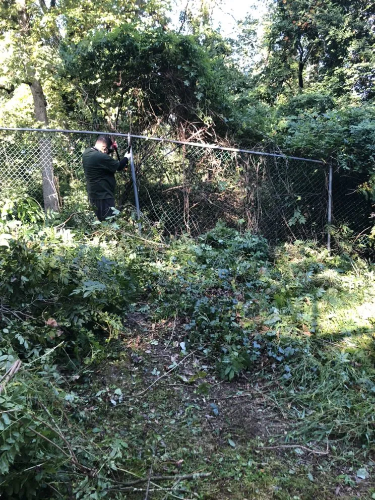 Reliable residential landscaping experts serving Silver Spring, MD - Universal Lawn Care