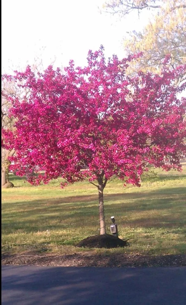 Local yard maintenance near you across Vineland, NJ - Universal Lawn Care