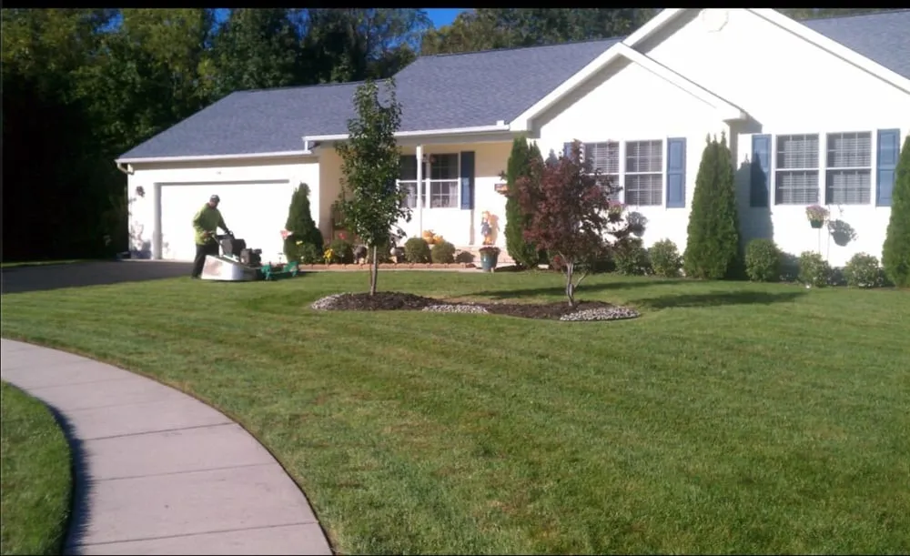 Expert lawn care service in Vineland, NJ - Universal Lawn Care