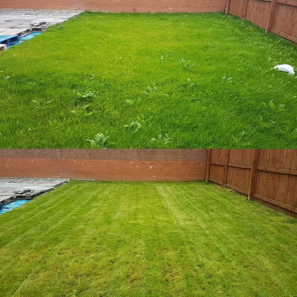 Expert lawn care service for outdoor upgrades across Swansea, IL - Universal Lawns & Outdoors