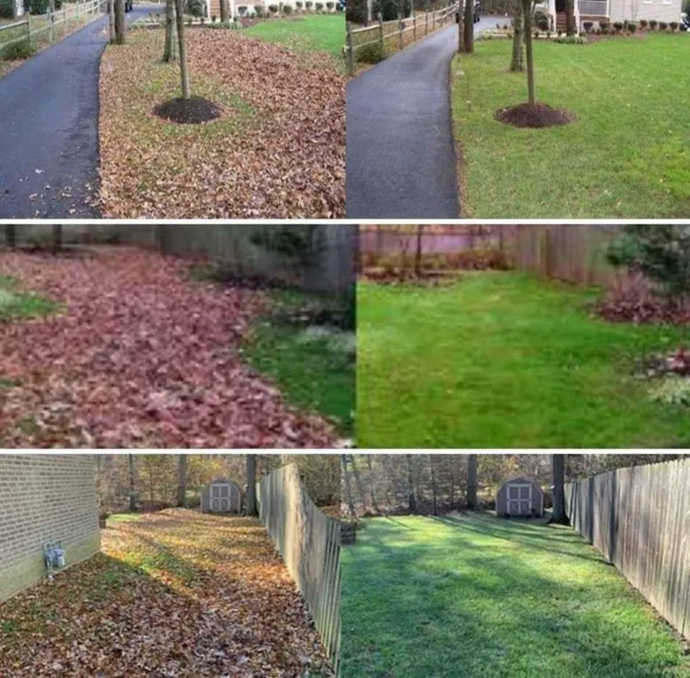 Professional landscape design experts serving Swansea, IL - Universal Lawns & Outdoors