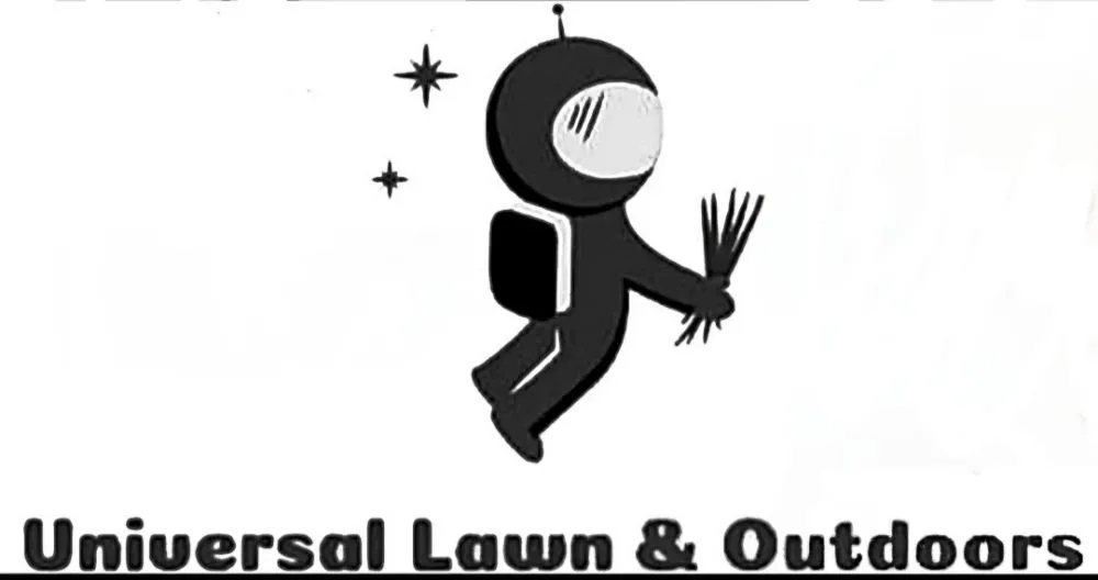 Affordable yard cleanup service in Swansea, IL by Universal Lawns & Outdoors