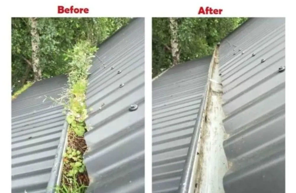 Trusted yard cleanup service in Swansea, IL by Universal Lawns & Outdoors