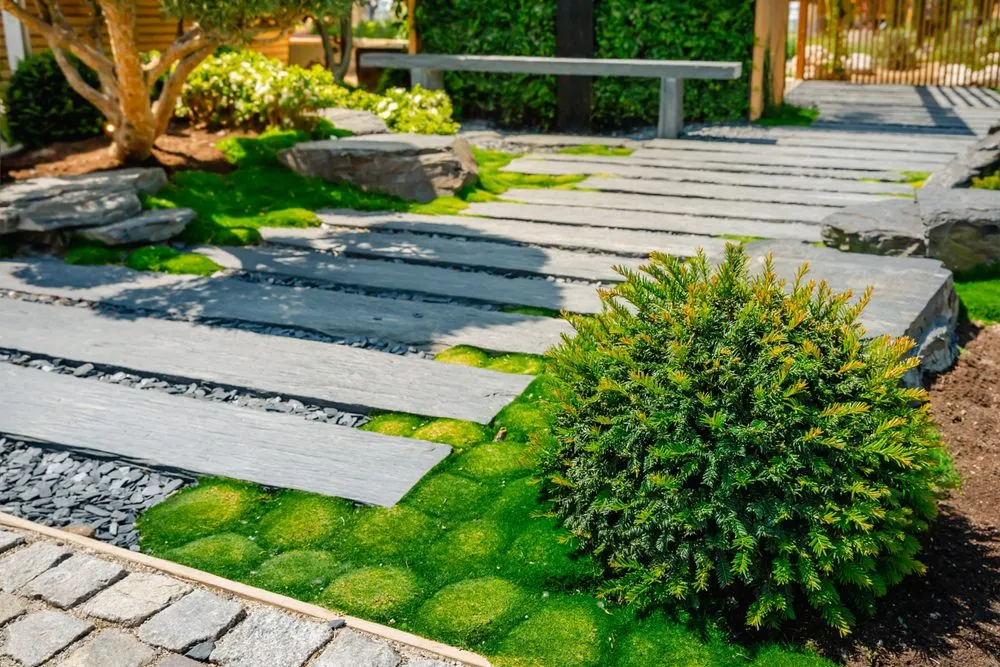 Trusted yard cleanup service in Los Angeles, CA by Universal Pro Builders