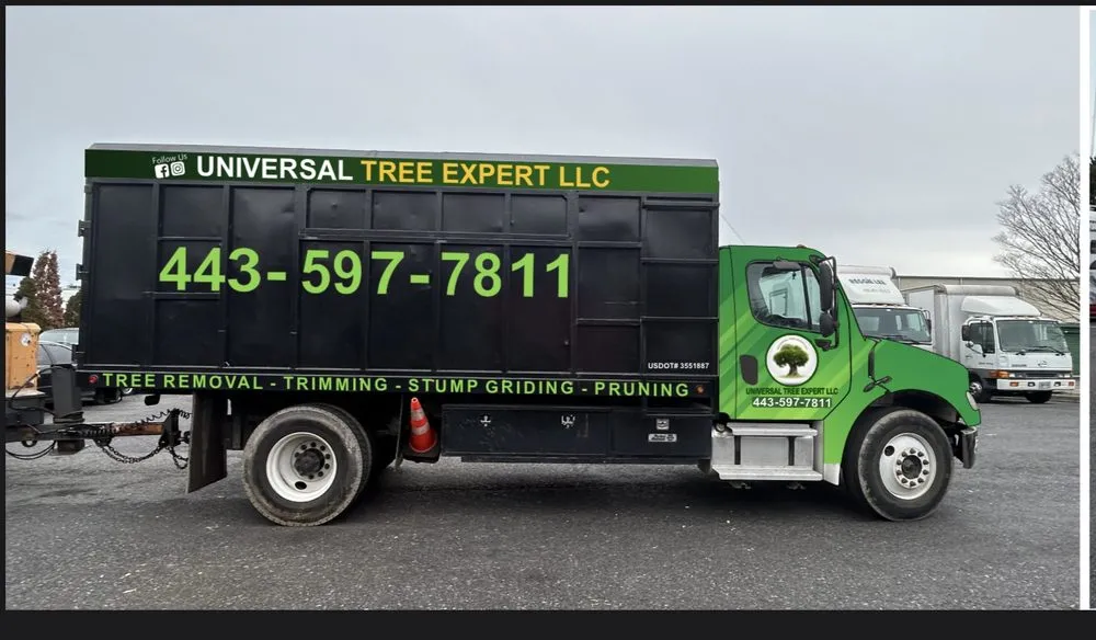 Professional garden landscaping in Glen Burnie, MD by Universal Tree Expert