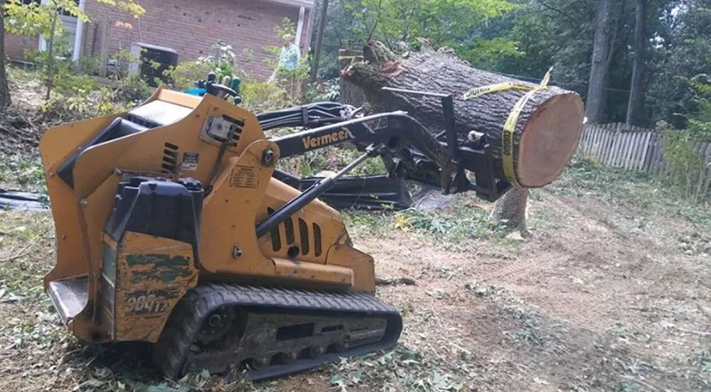 Top-rated landscaping services for homes across Glen Burnie, MD - Universal Tree Expert