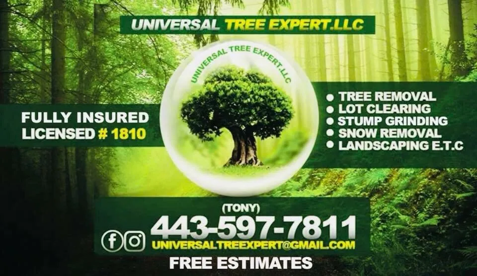 Local garden landscaping with custom design in Glen Burnie, MD by Universal Tree Expert