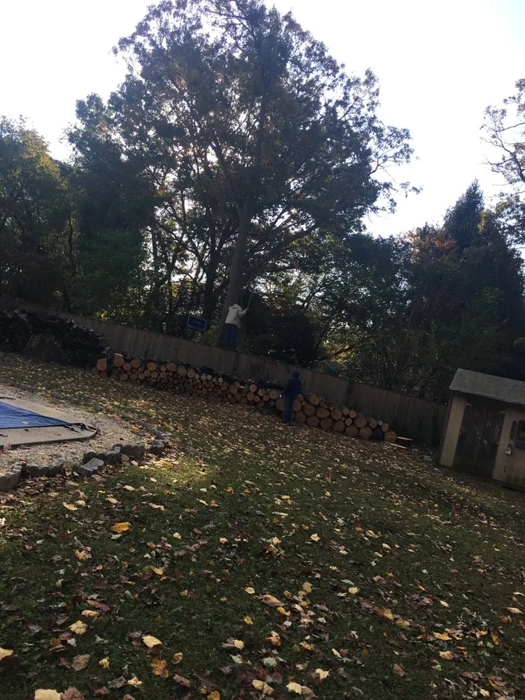 Local landscape installation in Glen Burnie, MD - Universal Tree Expert