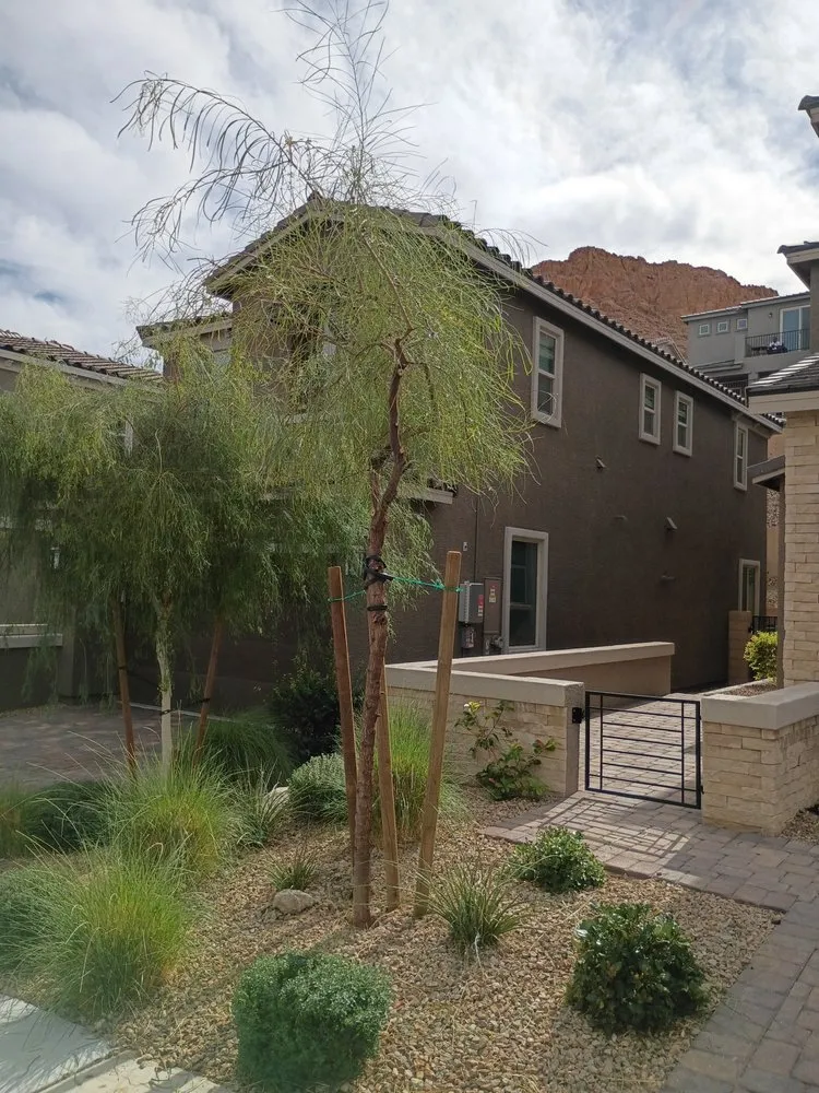 Top-rated landscape installation with custom design across North Las Vegas, NV - Universe Construction