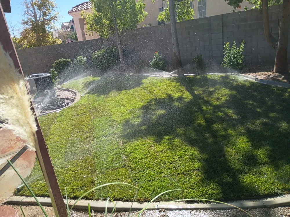 Professional lawn care service near you across North Las Vegas, NV - Universe Construction