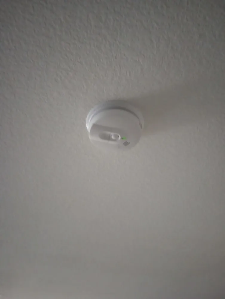 Top-rated yard maintenance in North Las Vegas, NV by Universe General Construction