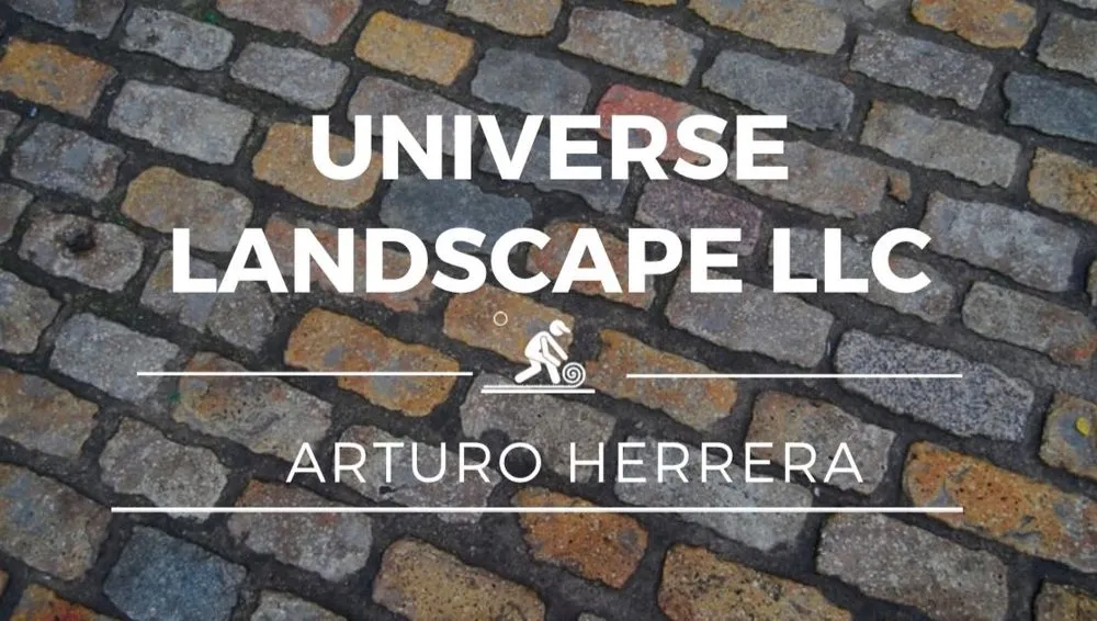 Custom yard cleanup service experts serving Milwaukie, OR - Universe Landscape