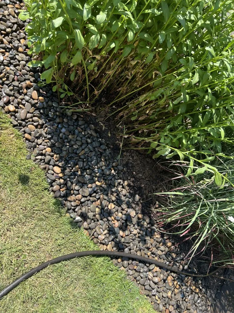 Local yard cleanup service for residential properties across Milwaukie, OR - Universe Landscape