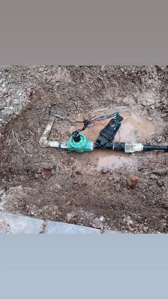 Custom lawn care service for residential properties in North Las Vegas, NV by Universe Landscape