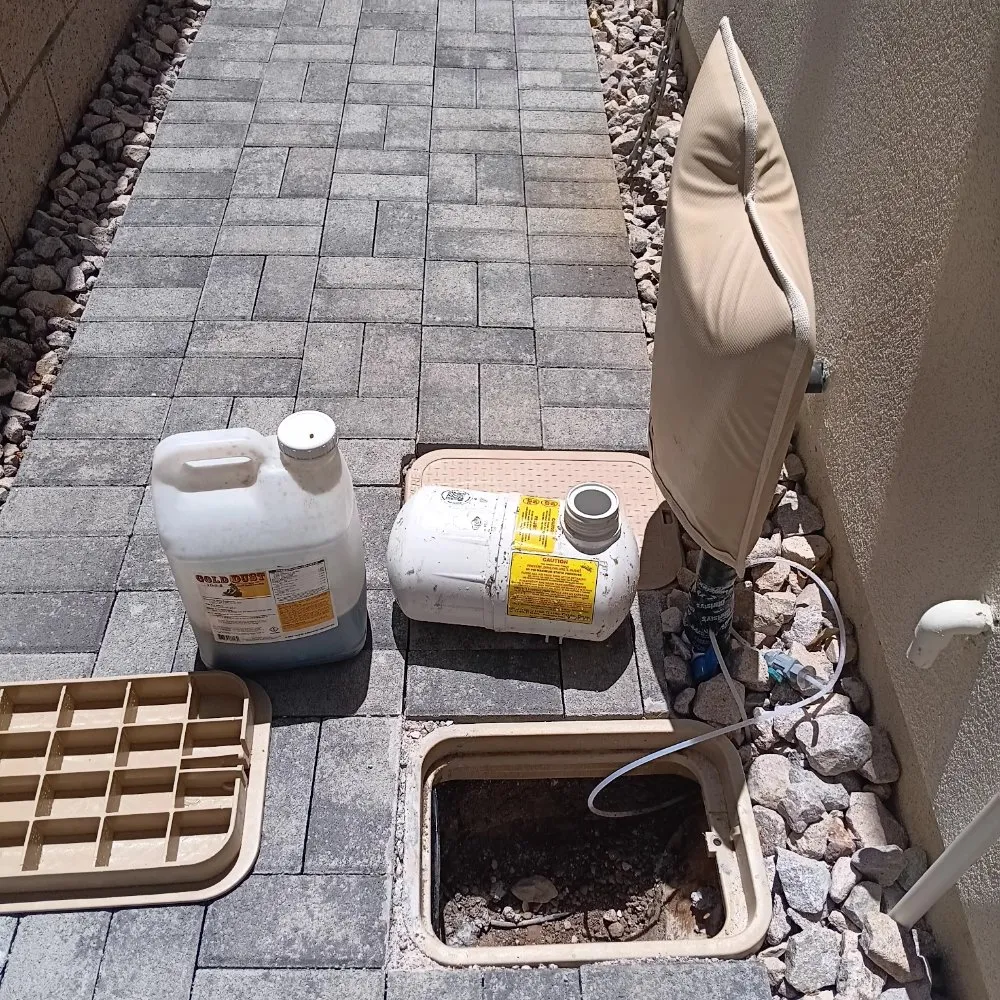Affordable yard cleanup service in North Las Vegas, NV - Universe Landscape