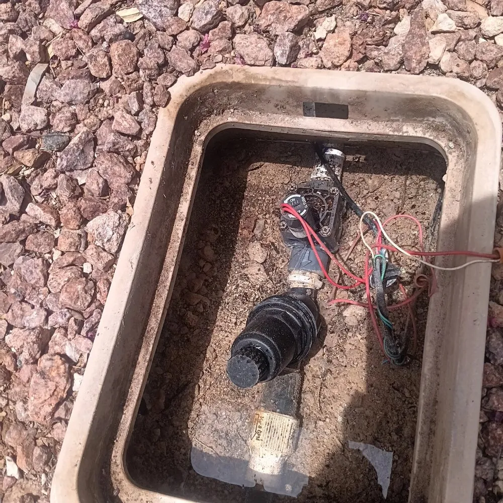 Professional landscape design in North Las Vegas, NV - Universe Landscape