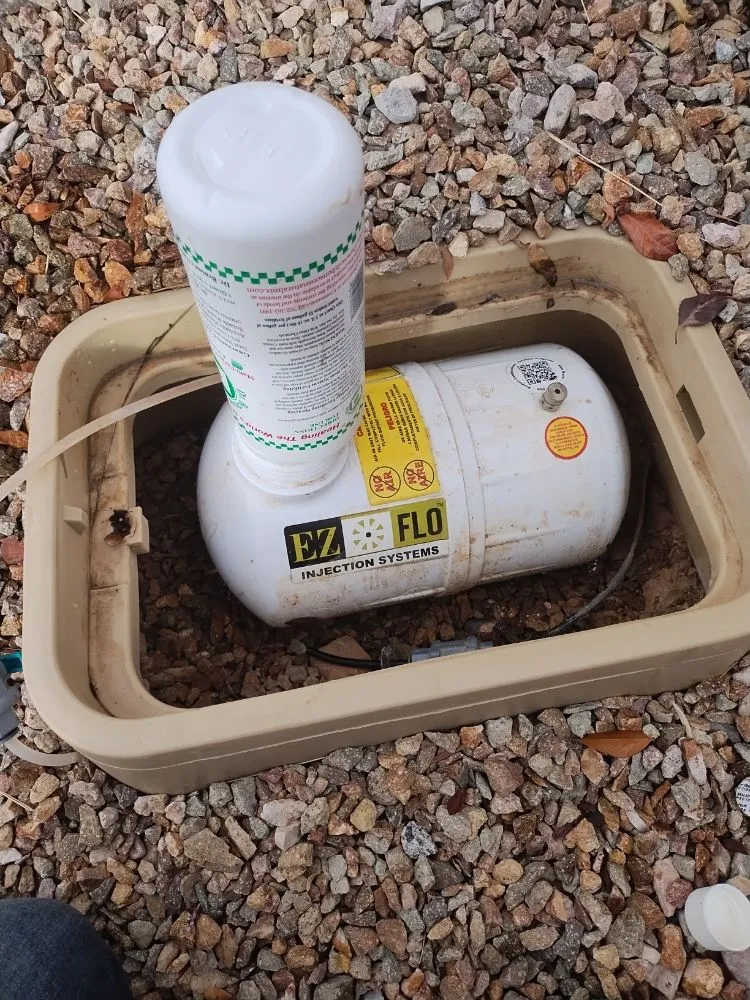 Top-rated garden landscaping in North Las Vegas, NV by Universe Landscape