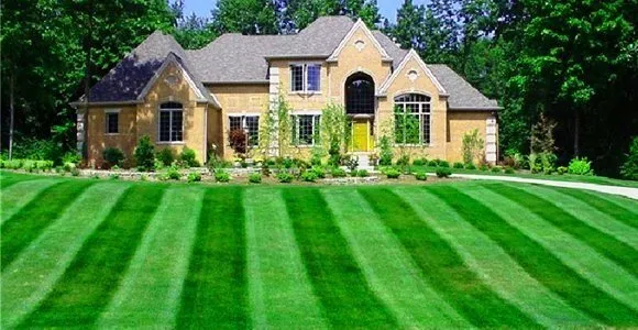 Expert garden landscaping for residential properties across University Place, WA - University Place DG Landscaping