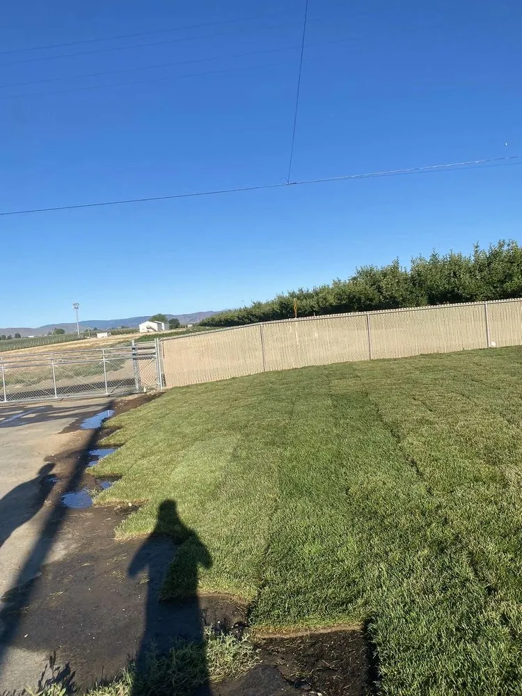 Trusted yard cleanup service in Pasco, WA - Unlimited Earthworks