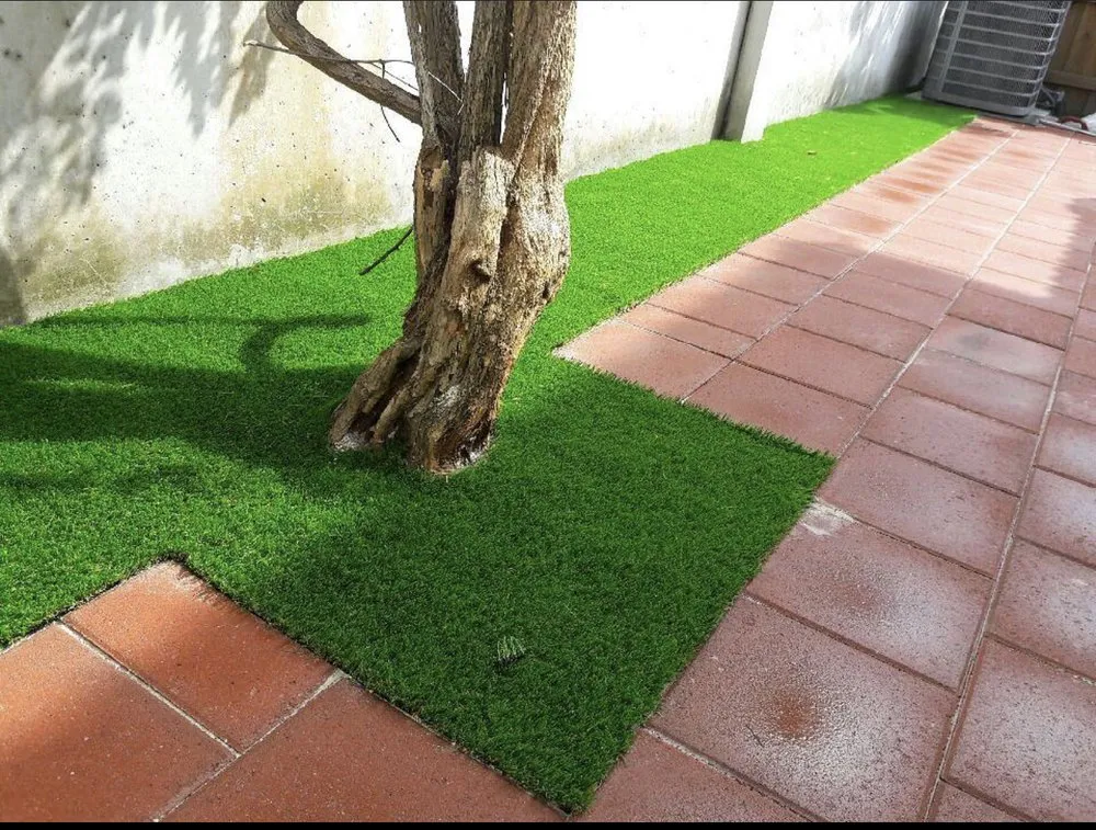 Custom outdoor landscaping in Hialeah, FL - Unlimited Grass