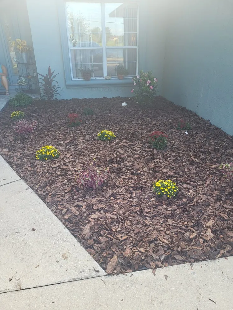 Expert landscaping services in Winter Haven, FL by Unlimited Green Solutions