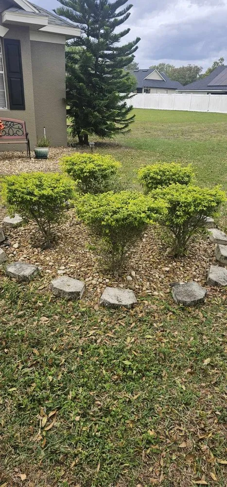 Professional lawn care service in Winter Haven, FL by Unlimited Green Solutions