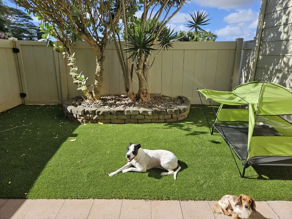 Reliable yard cleanup service with custom design in Honolulu, HI by Unlimited Landscape Hawaii