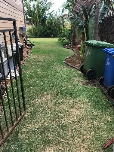 Custom yard cleanup service in Honolulu, HI by Unlimited Landscape Hawaii