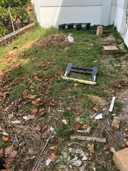 Professional lawn care service for beautiful yards across Honolulu, HI - Unlimited Landscape Hawaii