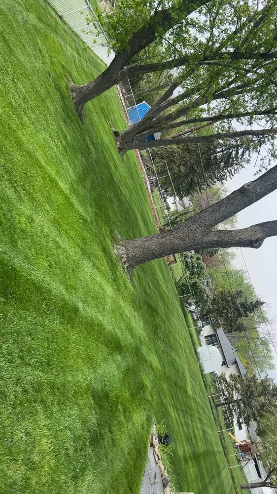 Local yard cleanup service for outdoor upgrades across Robbins, IL - Unlimited Landscape