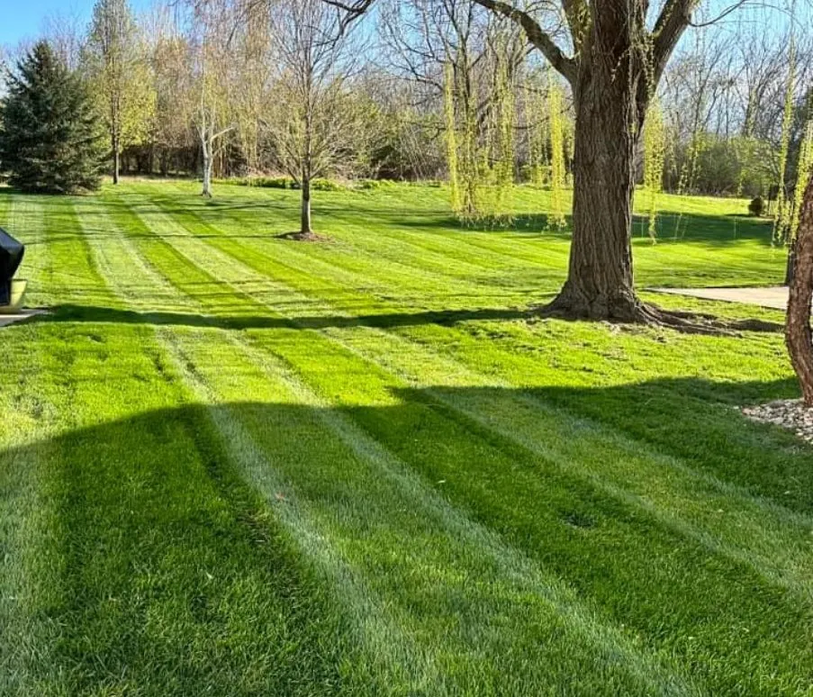 Affordable yard maintenance in Cleveland, OH - Unlimited landscaping