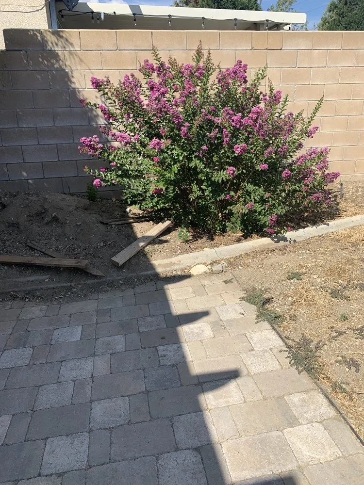 Local yard cleanup service for year-round maintenance in San Diego, CA by Unlimited Landscaping