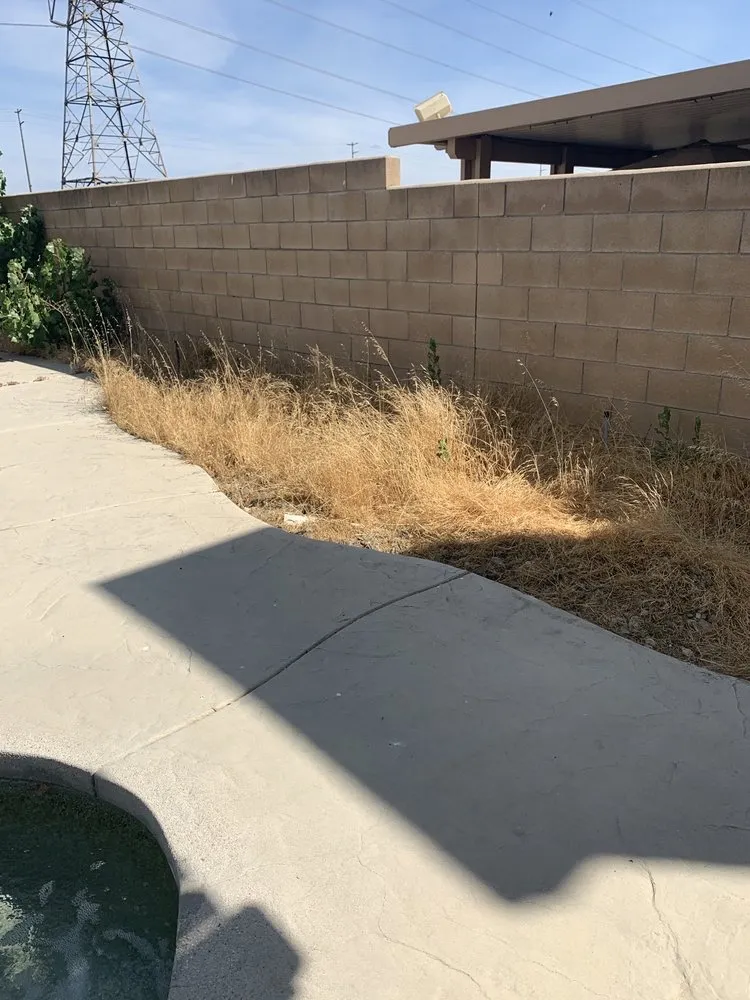 Reliable landscape design in San Diego, CA - Unlimited Landscaping