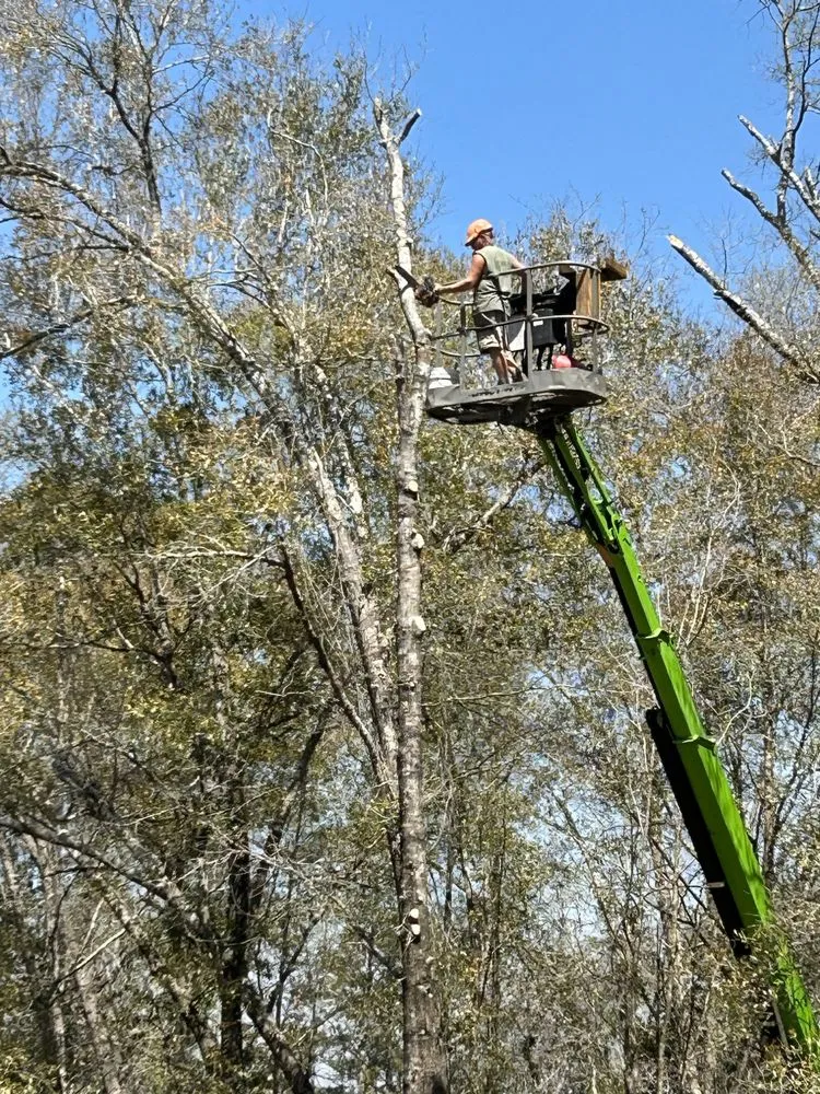 Custom outdoor landscaping in Milton, FL by Unlimited Lawn & Tree Care