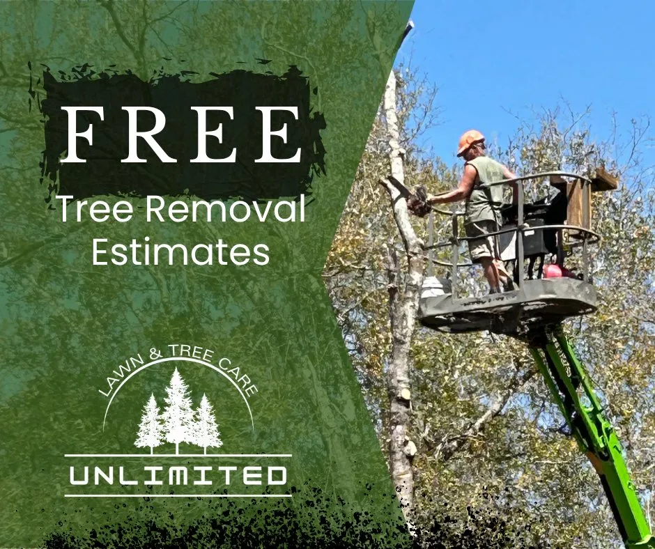 Custom residential landscaping for outdoor upgrades in Milton, FL by Unlimited Lawn & Tree Care