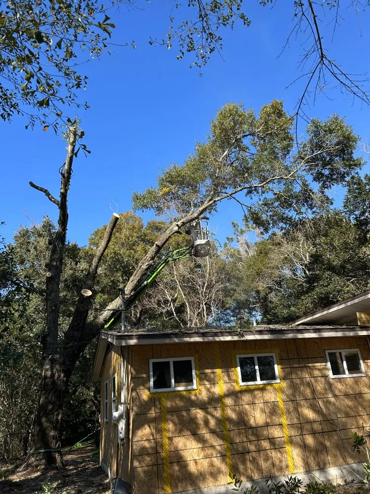 Expert lawn mowing service in Milton, FL by Unlimited Lawn & Tree Care