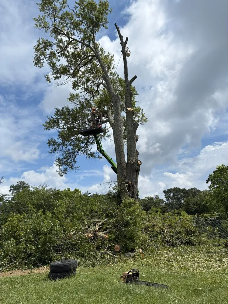 Expert landscape installation for year-round maintenance across Milton, FL - Unlimited Lawn & Tree Care