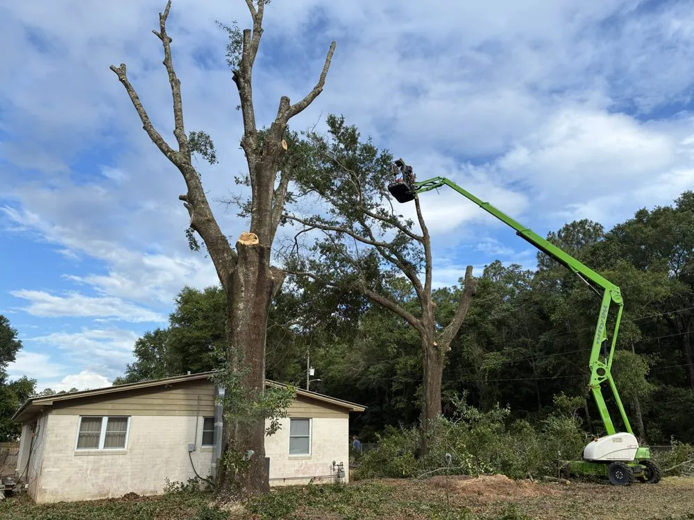 Expert landscape design for beautiful yards in Milton, FL by Unlimited Lawn & Tree Care