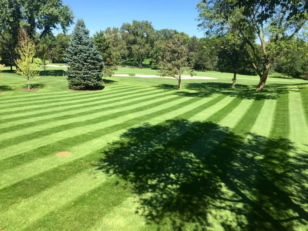 Reliable yard cleanup service for beautiful yards in Maplewood, MN by Unlimited Lawn Care & Landscaping
