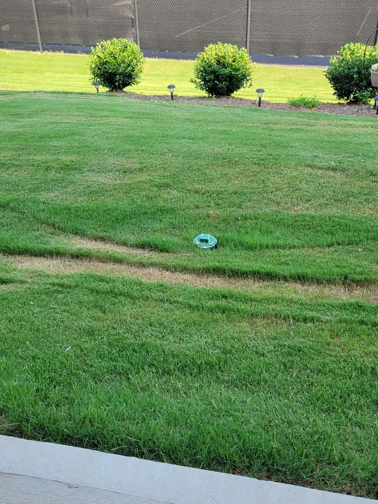 Local yard cleanup service experts serving Acworth, GA - Unlimited Lawn Care