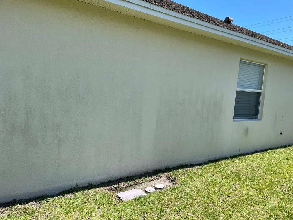 Top-rated lawn care service experts serving Lakeland, FL - Unlimited Lawn Care and Pressure Washing