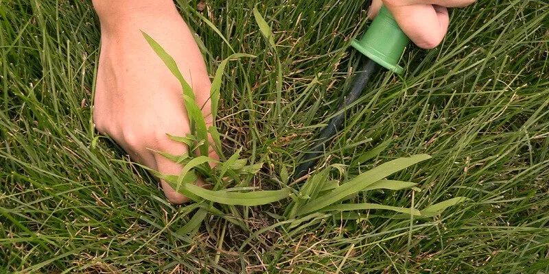 Custom landscaping services in Columbus, GA by Unlimited Lawn Care