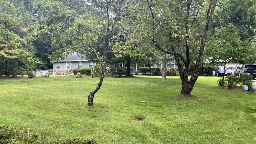 Expert residential landscaping near you across Columbus, GA - Unlimited Lawn Care