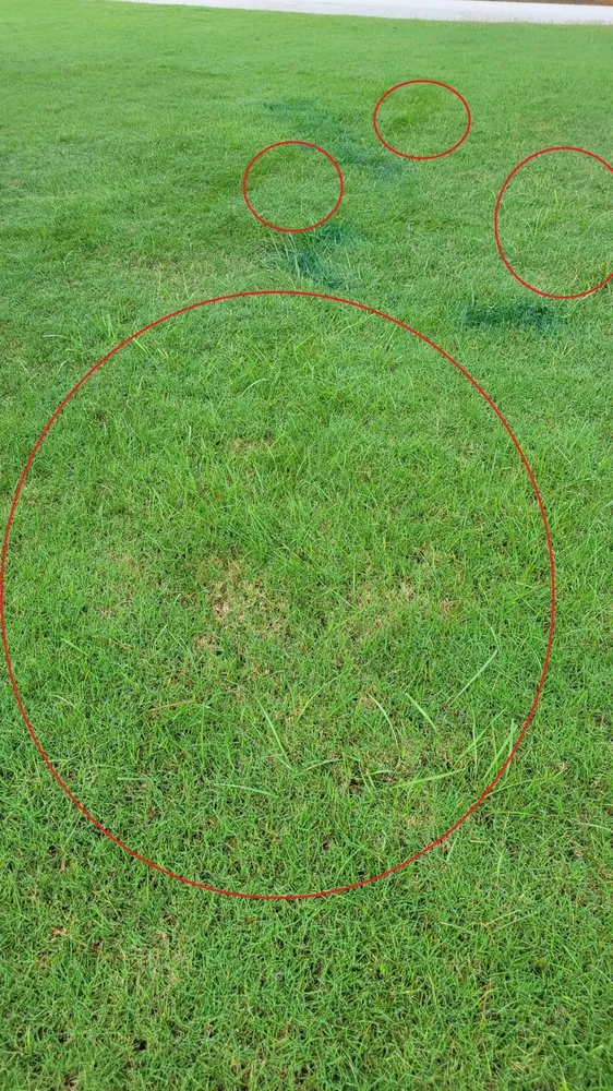 Local garden landscaping experts serving Conyers, GA - Unlimited Lawn Care