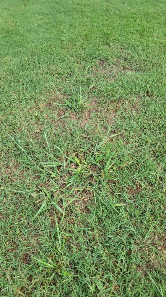 Trusted garden landscaping with custom design across Conyers, GA - Unlimited Lawn Care