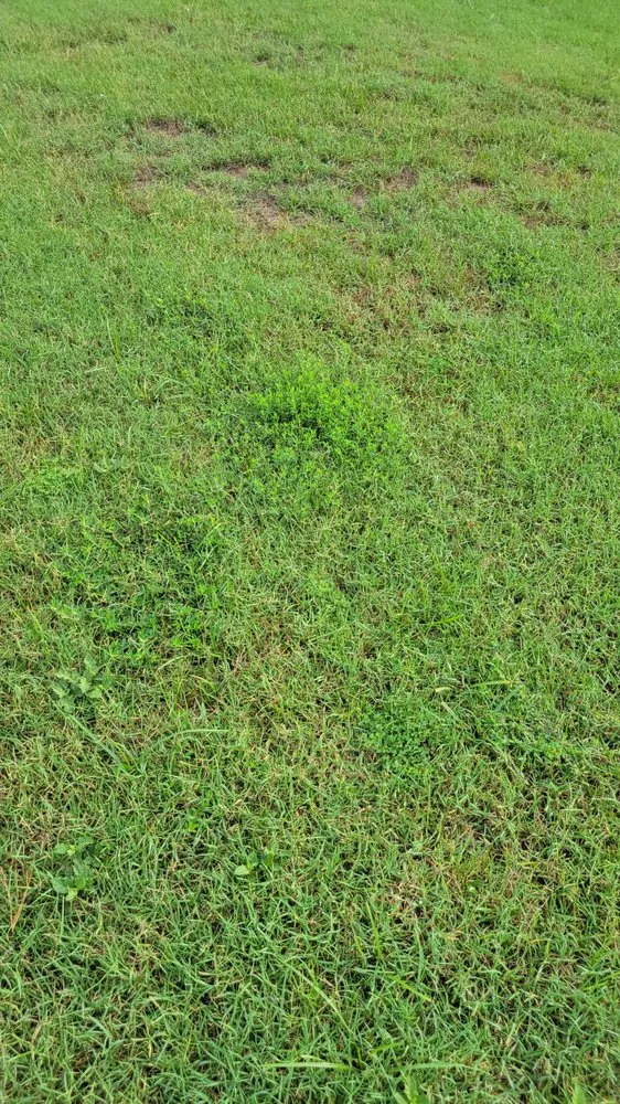 Expert garden landscaping for homes across Conyers, GA - Unlimited Lawn Care